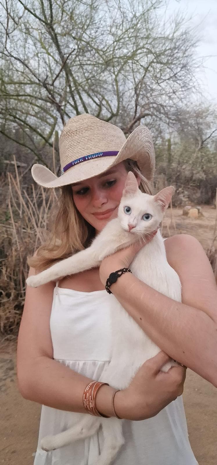 Cat care in Bournemouth - Connected Companions