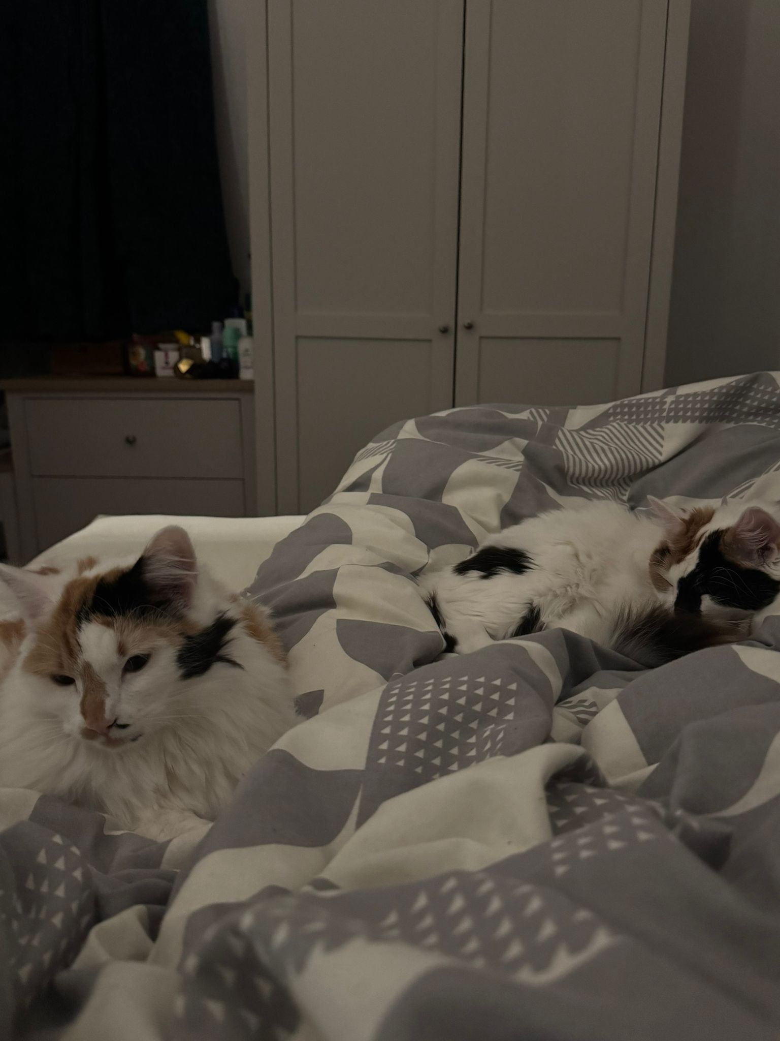 Peanut & Floss